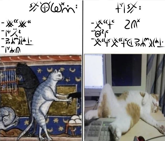 File:Soc'ul' Medieval cats.png