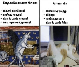 Medieval Cats.png