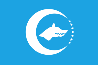 File:Turkic flag.png