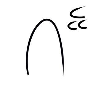 Wacag-stray.jpg