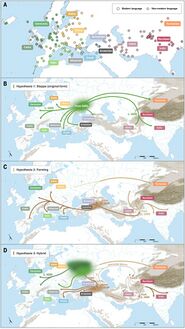 Indo-european migrations.jpeg