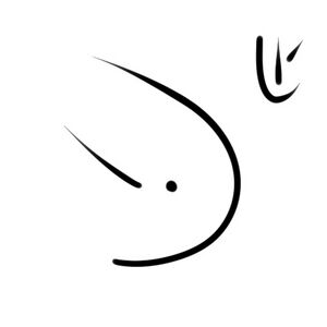 Wacag-ladybug.jpg
