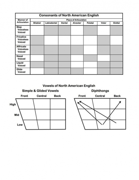 File:Blank consonant chart.jpg