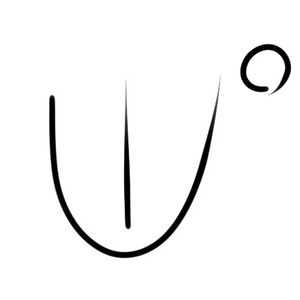 Wacag-bag.jpg