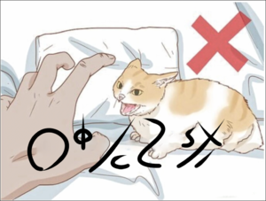 Please do not the cat Soc'ul'.png