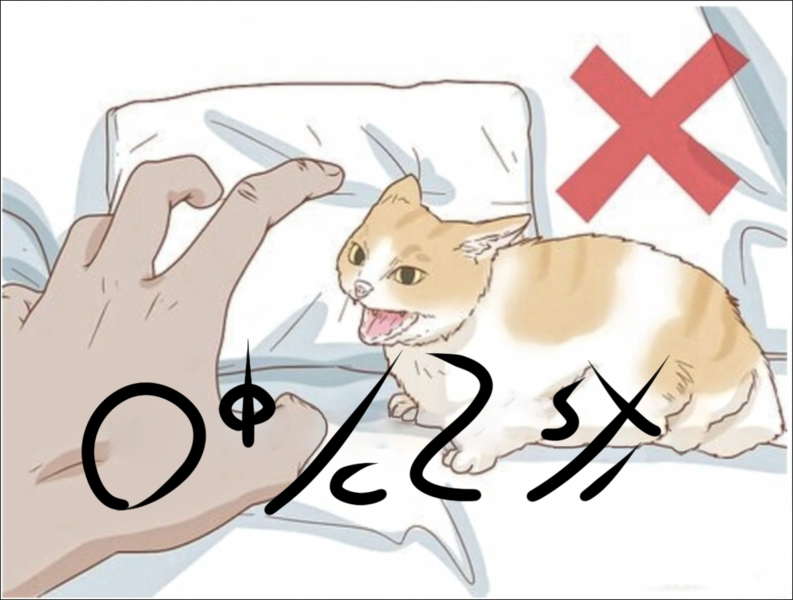 File:Please do not the cat Soc'ul'.png
