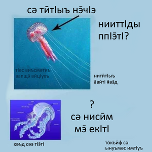 Guimin jellyfish.png