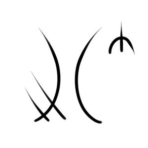 Wacag-thigh.jpg